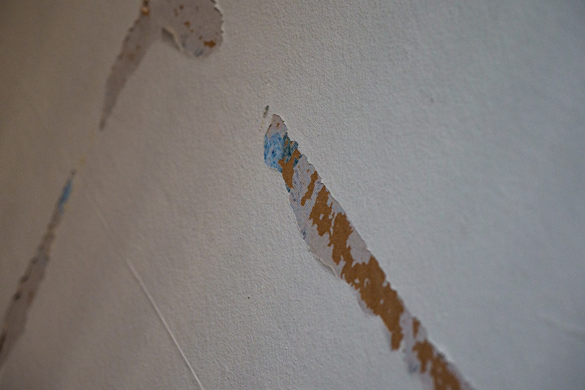 Water Extraction service in Smyrna, TN